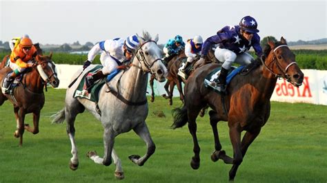 Top 7 Fastest Horses of All Time .